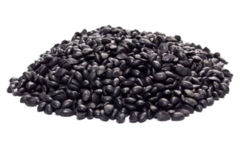 Wohua Plastic: Innovative Solutions for Plastic Manufacturing and Supply